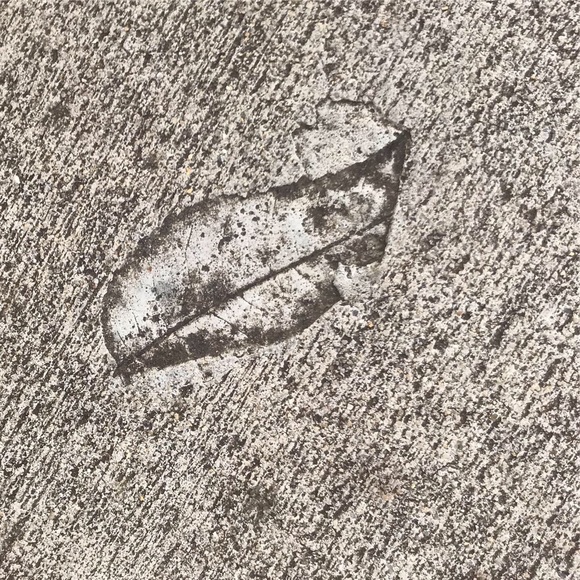 Meet your Posher - Picture 2 of 4